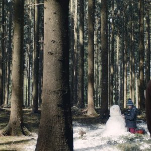 The Room - La stanza del desiderio: una sequenza del film