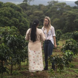 Coffee Defenders, a Path from Coca to Coffee