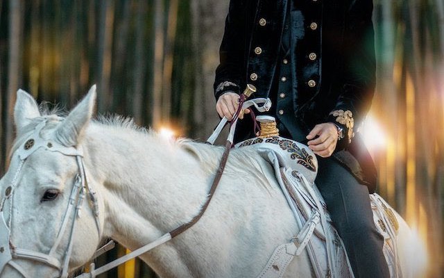 Ridatemi Mia Moglie Serie Tv Cast Completo