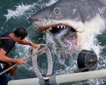 Lo Squalo e la sanguinosa scena tagliata dal film di Spielberg
