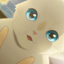 Miyo - Un amore felino: un'immagine del film animato