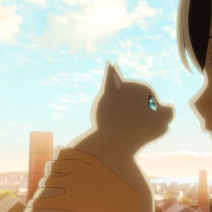 Miyo - Un amore felino: una scena del film d'animazione
