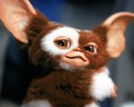 Gremlins 3, cosa sarebbe successo nel sequel mai realizzato?