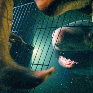 47 Metri - Uncaged: una sequenza del film