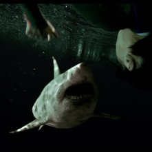 47 Metri - Uncaged: una foto del film