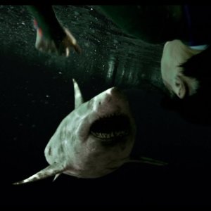 47 Metri - Uncaged: una foto del film