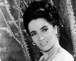 Linda Cristal, morta la star della serie western Ai confini dell'Arizona