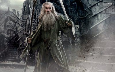 Lo Hobbit. La desolazione di Smaug. La guida ufficiale del film di