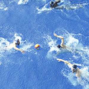 Gamberetti per tutti: una sequenza del film