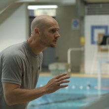 Gamberetti per tutti: un'immagine