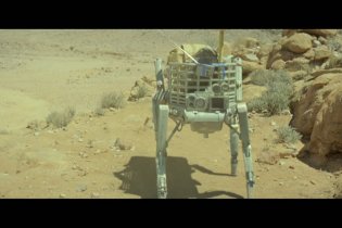 Young Ones - Ultima Generazione - Trailer Italiano