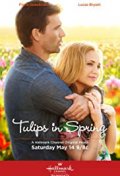 Locandina di I tulipani dell'amore