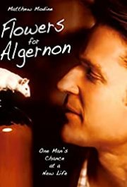 Locandina di Flowers for Algernon