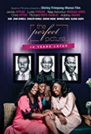 Locandina di The Perfect Picture - Ten Years Later