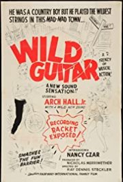 Locandina di Wild Guitar