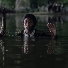 Harriet: Cynthia Erivo in un'immagine