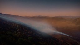 Black Is King - Trailer