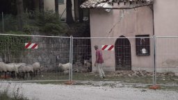 Vulnerabile Bellezza - Trailer