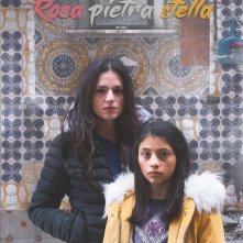 Locandina di Rosa pietra stella