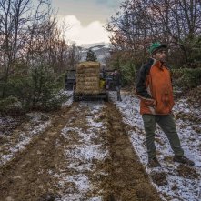 Vulnerabile bellezza: un momento del film