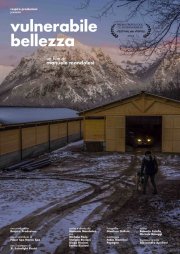 Locandina di Vulnerabile bellezza