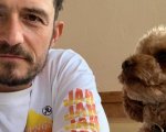 Orlando Bloom annuncia la morte del suo cane Mighty e il tatuaggio in suo onore