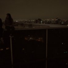 50 Or Two Whales Meet at the Beach: un'immagine