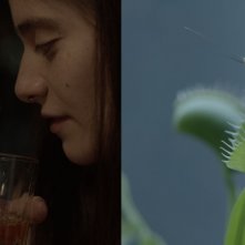 50 Or Two Whales Meet at the Beach: una scena del film di Jorge Cuchi