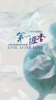 Locandina di Love After Love