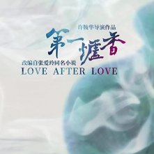 Locandina di Love After Love