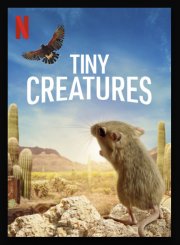 Locandina di Piccole creature