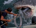 Lo  squalo: la stella cadente che si vede nel film era vera