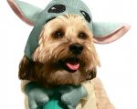 The Mandalorian: il costume di Baby Yoda per cani tra i modelli creati per Halloween