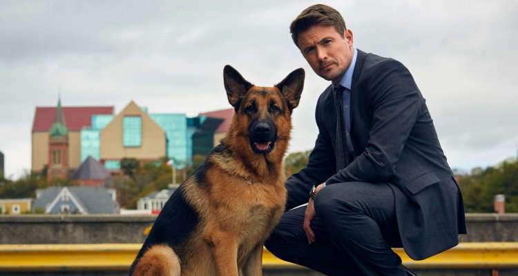 Il Commissario Rex Streaming Serie Tv Online
