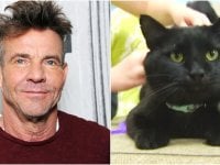 Dennis Quaid ha adottato un gatto randagio che si chiama... Dennis Quaid!