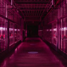 Little Joe: una scena del film