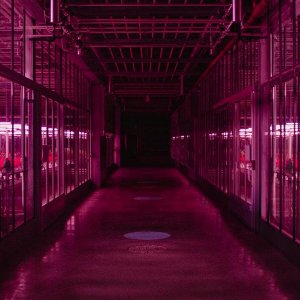 Little Joe: una scena del film