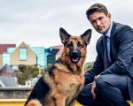 Hudson & Rex: il cane della serie è un 'discendente' del primo commissario Rex
