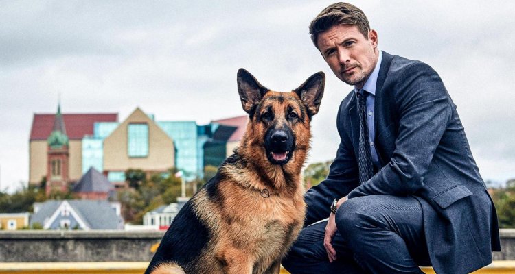 Pastore Tedesco Protagonista Di Una Serie Tv