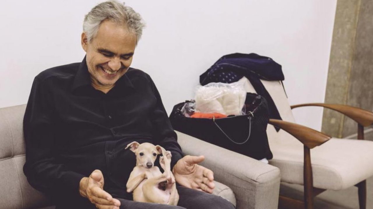 Chi è Amos Bocelli? Il figlio di Andrea Bocelli - Bigodino