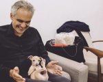 Andrea Bocelli in ansia: il suo cane è disperso in mare