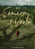 Locandina di Semina il vento