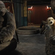 L'unico e insuperabile Ivan: un'immagine del film