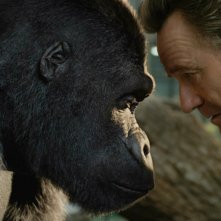 L'unico e insuperabile Ivan: una sequenza del film