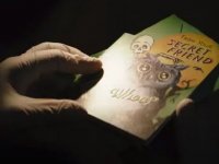 The Batman 2, il titolo provvisorio anticiperebbe la trama: la Corte dei Gufi è in arrivo?