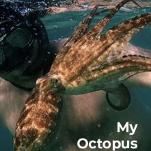 Locandina di My Octopus Teacher