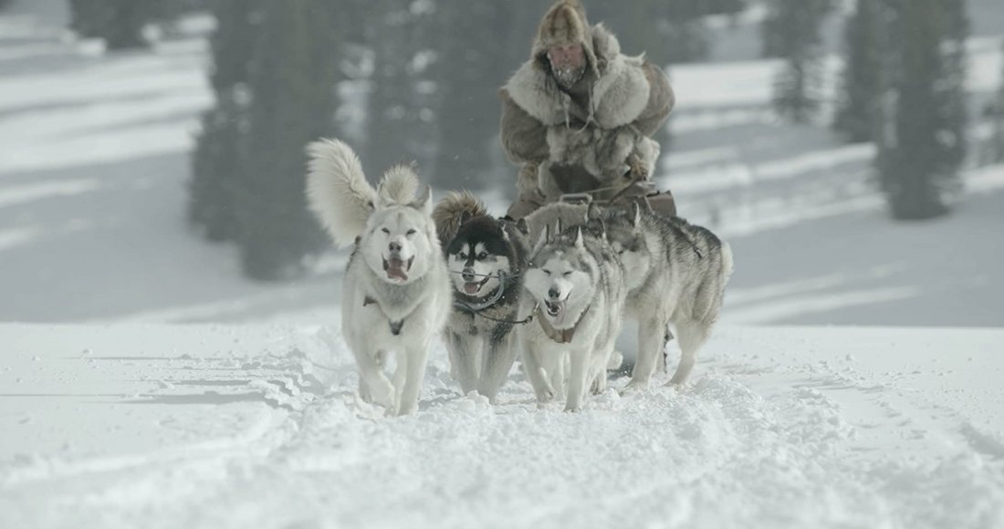 Balto E Togo La Leggenda 1