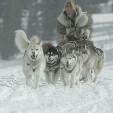 Balto e Togo - La leggenda: una foto del film
