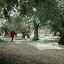 Semina il vento: una foto del film