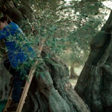 Semina il vento: una scena